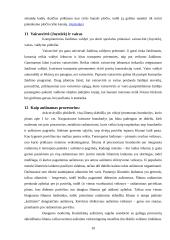 Techninė kompiuterių įranga 10 puslapis