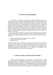 Įstatymų leidybos procedūra ir darbo teisė 13 puslapis