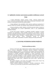 Įstatymų leidybos procedūra ir darbo teisė 6 puslapis