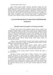 Įstatymų leidybos procedūra ir darbo teisė 7 puslapis