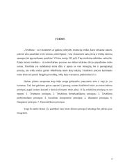 Teisėkūros principai 2 puslapis