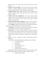 Teisės aiškinimas 2 puslapis