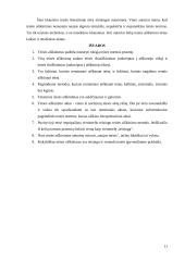 Teisės aiškinimas 11 puslapis