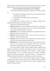 Teisės aiškinimas 10 puslapis