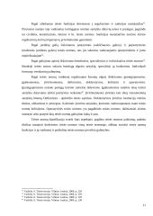 Teisės normų struktūra 11 puslapis