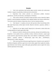 Teisės normų struktūra 12 puslapis