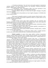 Teisės normos ir jų įtaka visuomenės gyvenime 4 puslapis