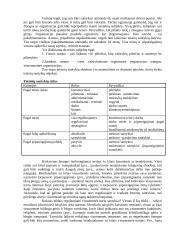 Teisės normos ir jų įtaka visuomenės gyvenime 5 puslapis