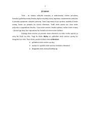 Teisės normos esmė, struktūra ir rūšys 3 puslapis