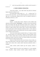 Teisės normos esmė, struktūra ir rūšys 5 puslapis