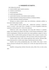 Teisės normų išreiškimo forma 13 puslapis