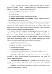 Teisės normų išreiškimo forma 18 puslapis