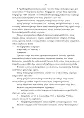 Teisės pagrindai pagal įstatymus 14 puslapis