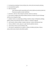 Teisės pažeidėjo sulaikymo taktika 11 puslapis