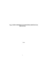 Teisės pažeidimai elektroninėje erdvėje bei jų prevencija