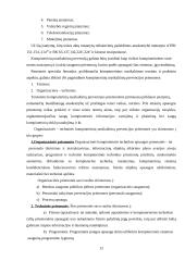 Teisės pažeidimai elektroninėje erdvėje bei jų prevencija 12 puslapis