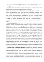 Teisės pažeidimai elektroninėje erdvėje bei jų prevencija 8 puslapis