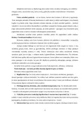 Teisės samprata 2 puslapis