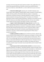 Teisės samprata 4 puslapis