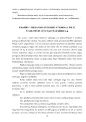 Teisės samprata 8 puslapis