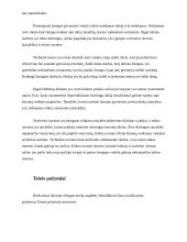 Teisės sampratų įvairovė ir jos priežastys 6 puslapis