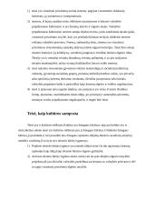 Teisės sampratų įvairovė ir jos priežastys 7 puslapis