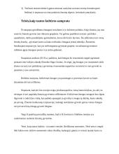 Teisės sampratų įvairovė ir jos priežastys 8 puslapis