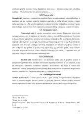 Teisės sistema ir jos sudarymo būdai 12 puslapis