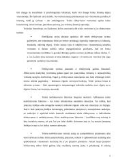 Teisės vertinimas kaip bendroji kategorija 5 puslapis