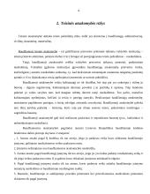 Teisinės atsakomybės esmė 4 puslapis