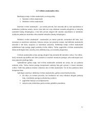 Teisinės atsakomybės rūšių apžvalga 11 puslapis