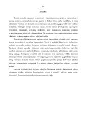 Teisinės valstybės raida bei samprata 14 puslapis