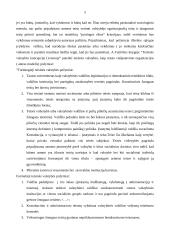 Teisinės valstybės raida bei samprata 5 puslapis