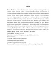 Teisingumo ministerija 3 puslapis