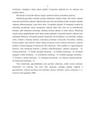 Teisingumo ministerija 5 puslapis