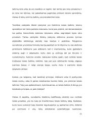 Teisinio precedento samprata ir vaidmuo Lietuvoje 11 puslapis