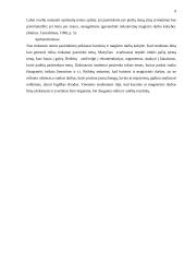 Temos pasirinkimo ypatumai 9 puslapis