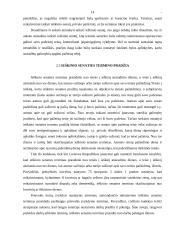 Terminų bendrosios nuostatos, ieškinio senatis 14 puslapis