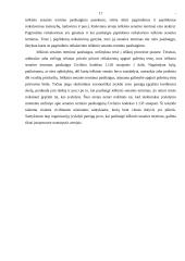 Terminų bendrosios nuostatos, ieškinio senatis 17 puslapis