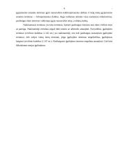 Terminų bendrosios nuostatos, ieškinio senatis 4 puslapis