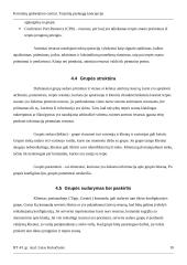 Terpinių paslaugų koncepcija 10 puslapis