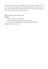 Tėvų globos netekimo priežastys 4 puslapis