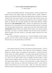 Tėvų globos netekimo priežastys 5 puslapis