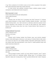 Tiriamoji žurnalistika Suomijoje 15 puslapis