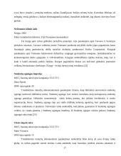 Tiriamoji žurnalistika Suomijoje 17 puslapis