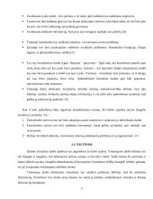 Tiriamoji žurnalistika Suomijoje 5 puslapis