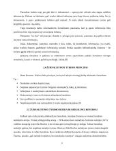 Tiriamoji žurnalistika Suomijoje 6 puslapis