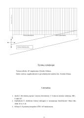 Tyrimų programa ir metodika: Vabalų (Coleoptera) paplitimas skirtingose agrocenozėse 11 puslapis