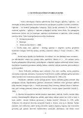 Tradicijų įtaką vaiko auklėjimui 2 puslapis