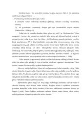 Tradicijų įtaką vaiko auklėjimui 5 puslapis